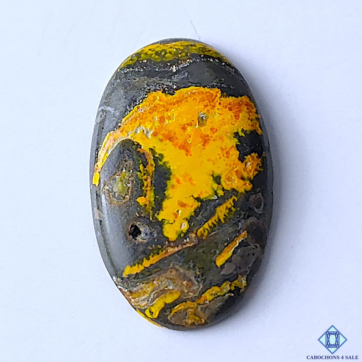 Bumblebee Jasper