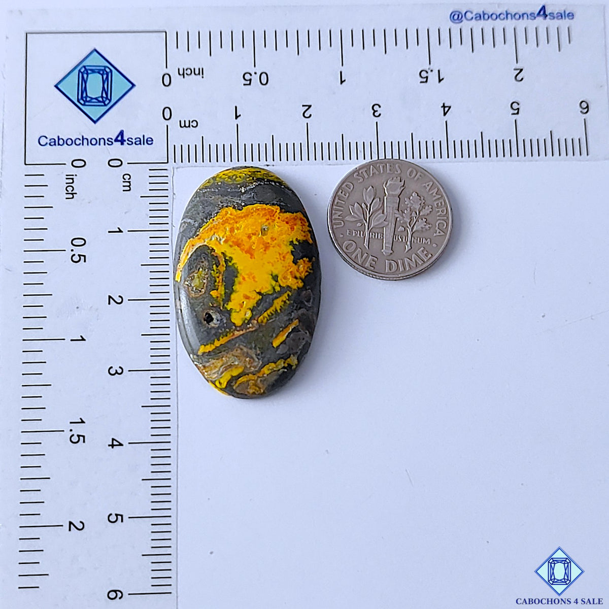Bumblebee Jasper