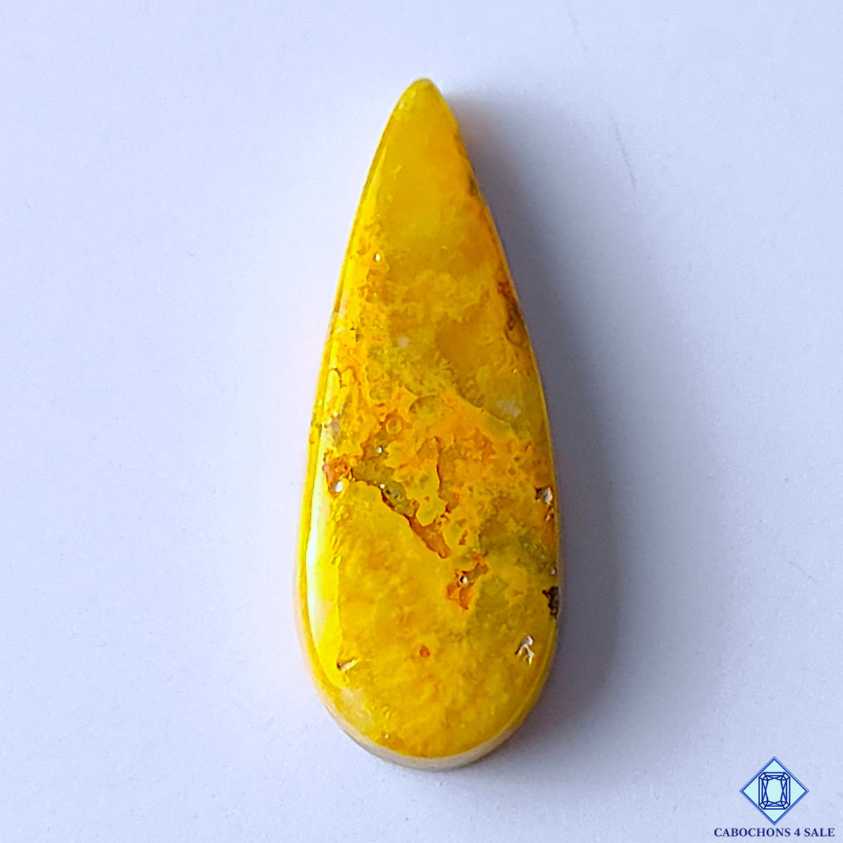Bumblebee Jasper