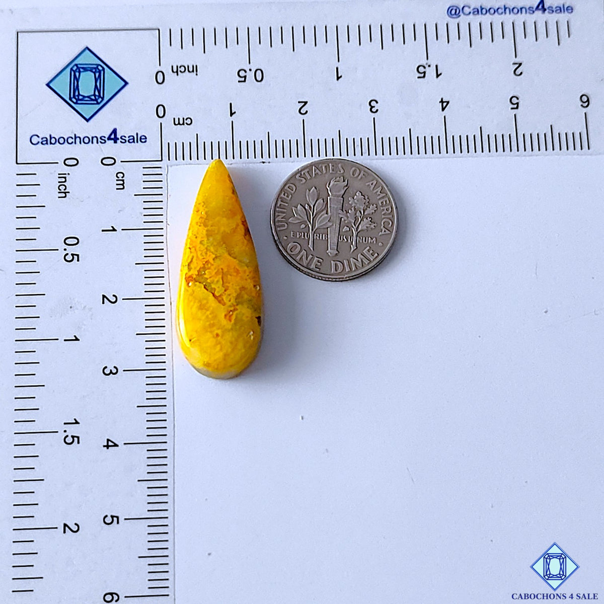 Bumblebee Jasper