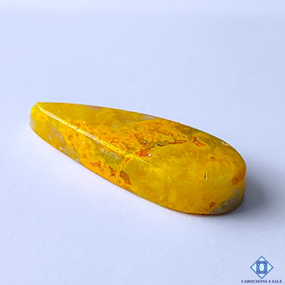 Bumblebee Jasper