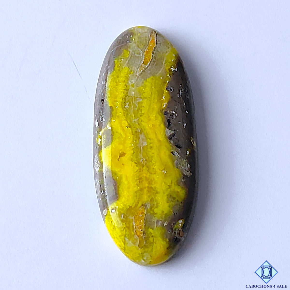 Bumblebee Jasper