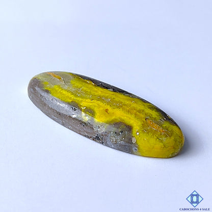 Bumblebee Jasper