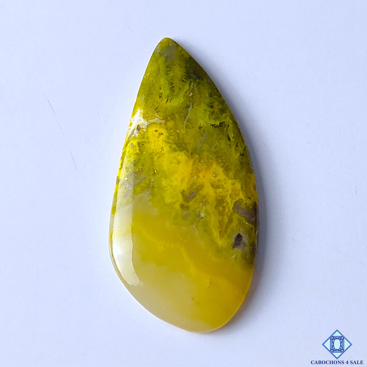 Bumblebee Jasper