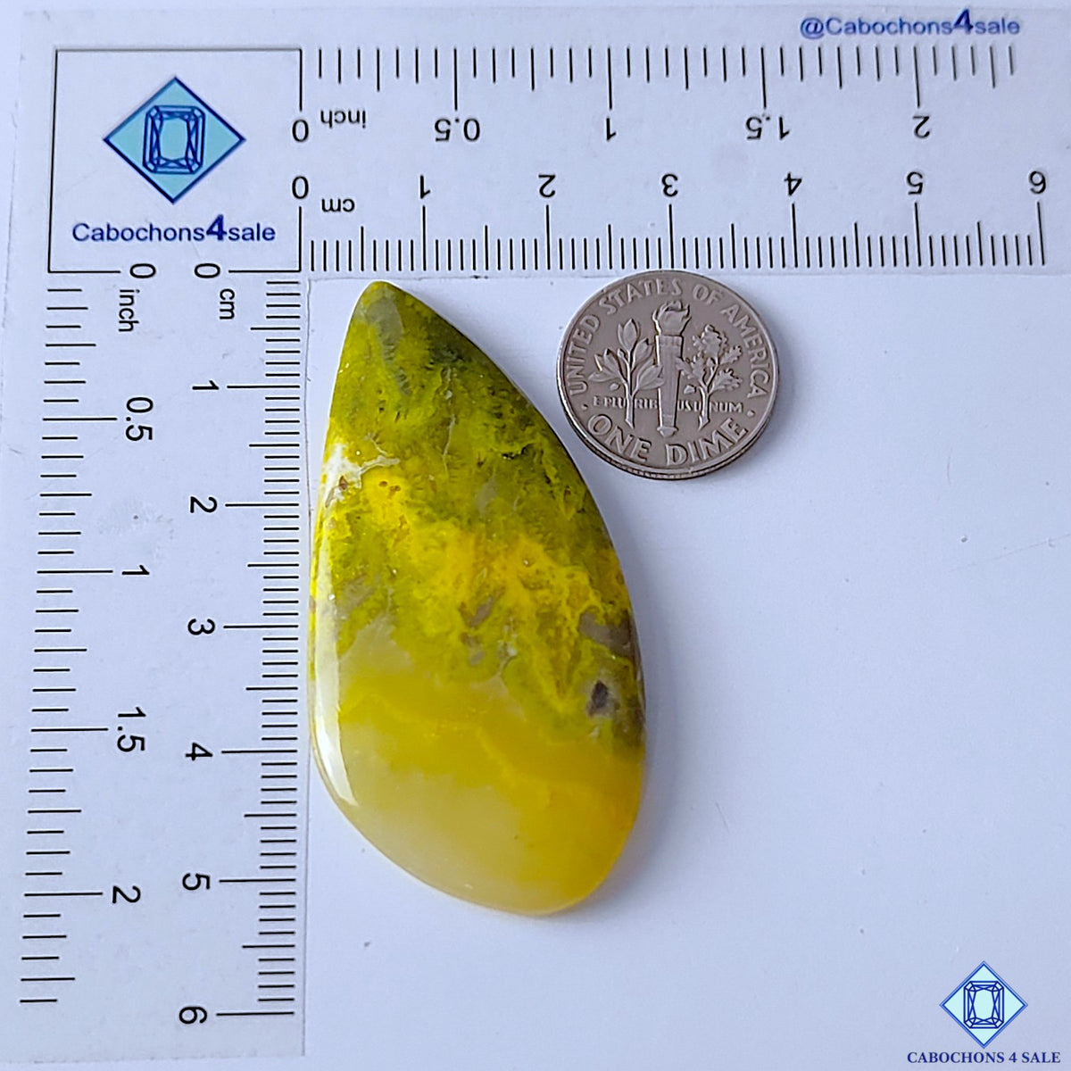 Bumblebee Jasper
