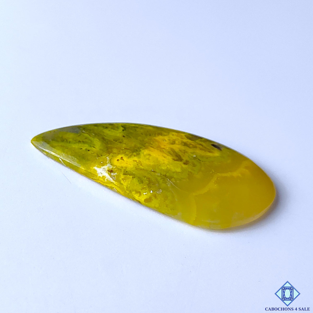 Bumblebee Jasper