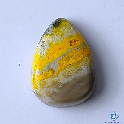 Bumblebee Jasper