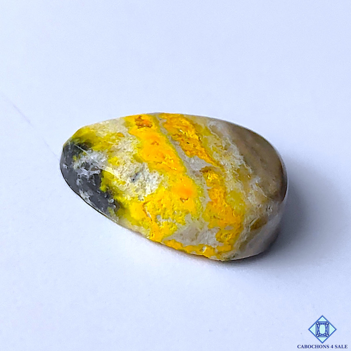 Bumblebee Jasper