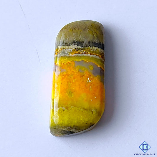 Bumblebee Jasper