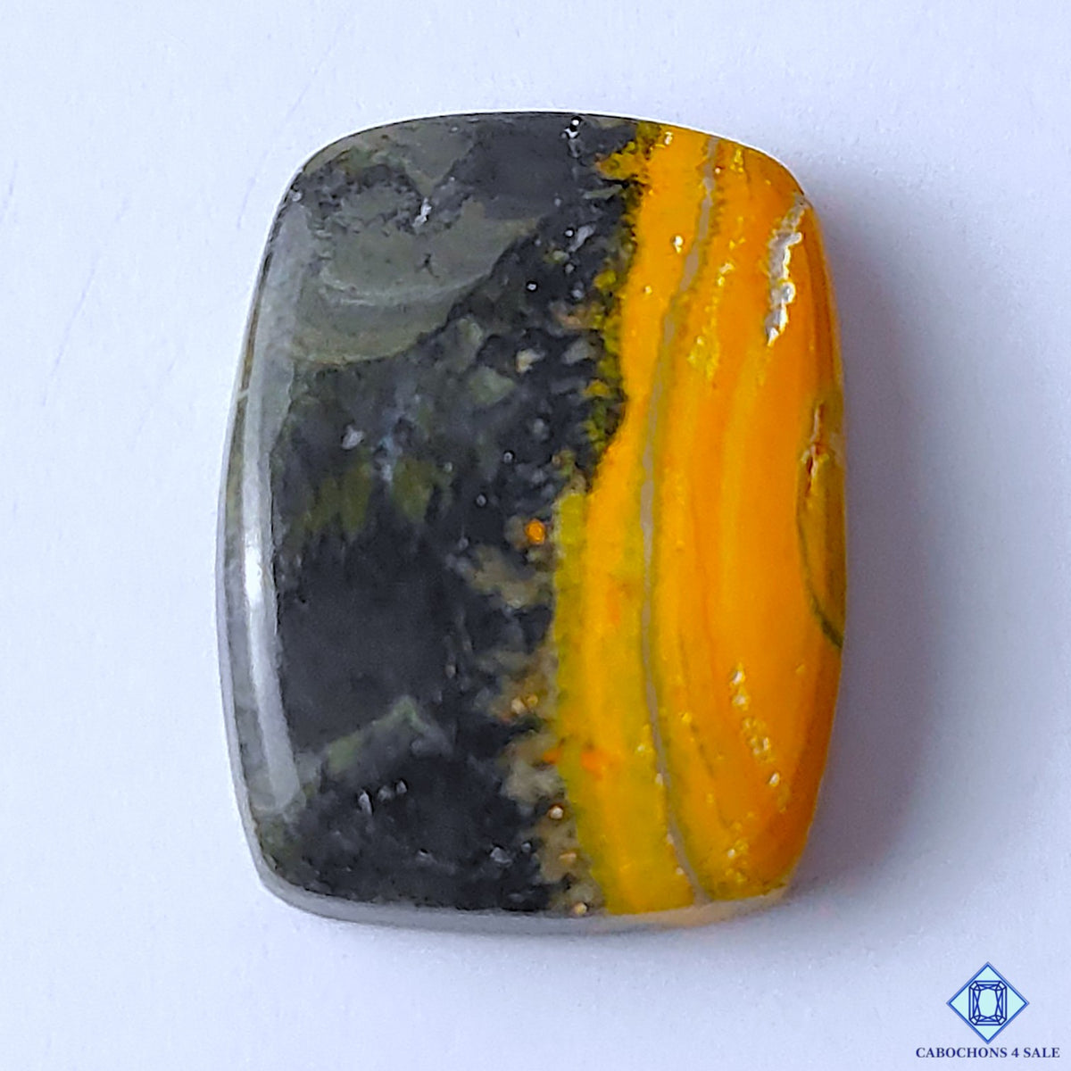 Bumblebee Jasper