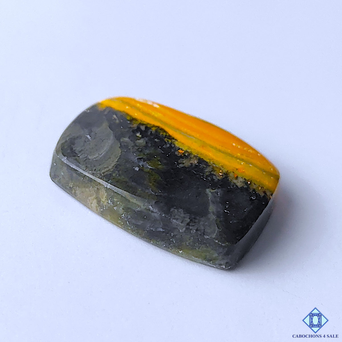 Bumblebee Jasper