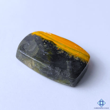 Bumblebee Jasper