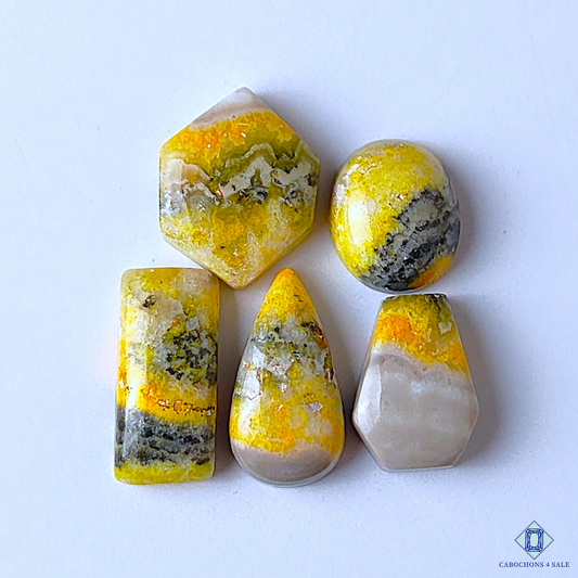 Bumblebee Jasper
