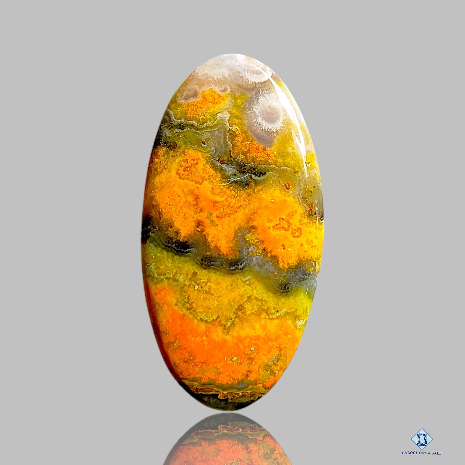 Bumblebee Jasper