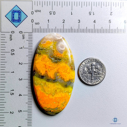 Bumblebee Jasper Oval Cabochons