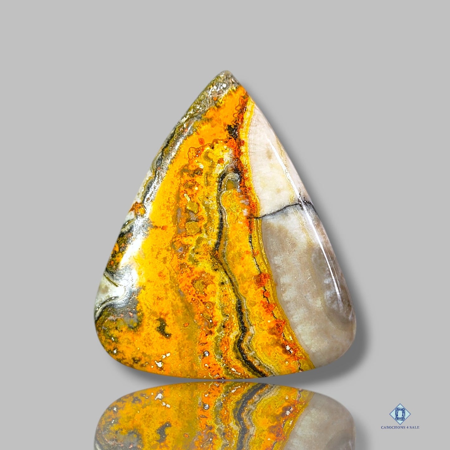 Bumblebee Jasper