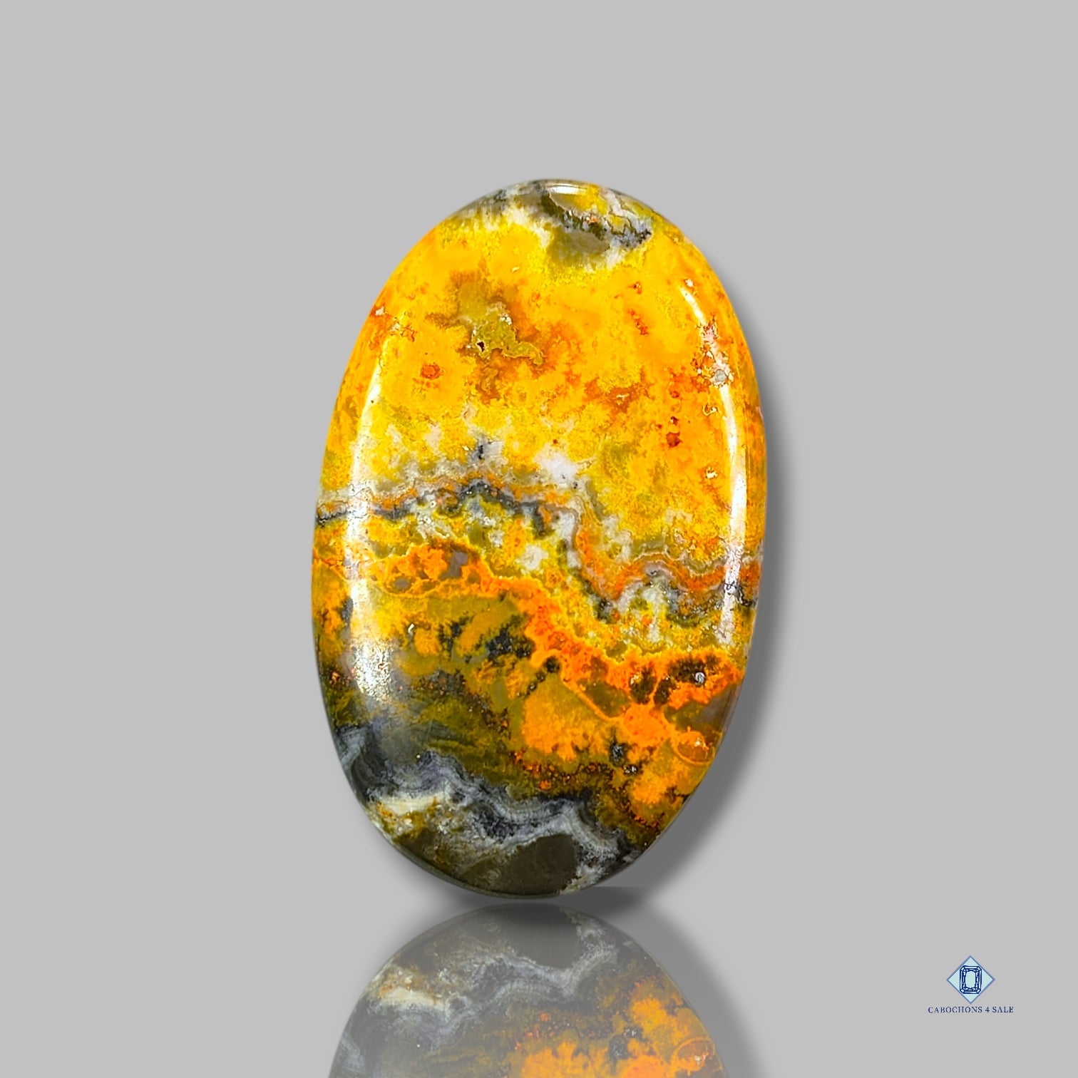 Bumblebee Jasper