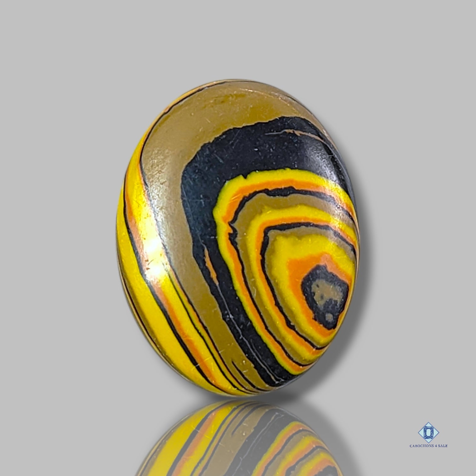 Bumblebee Jasper