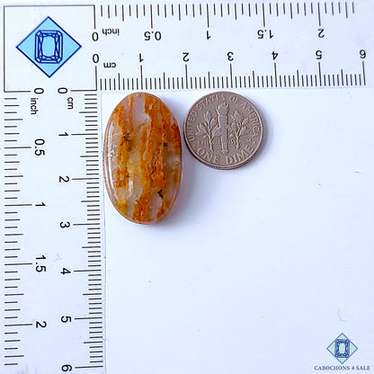Cacoxenite Rutile Quartz