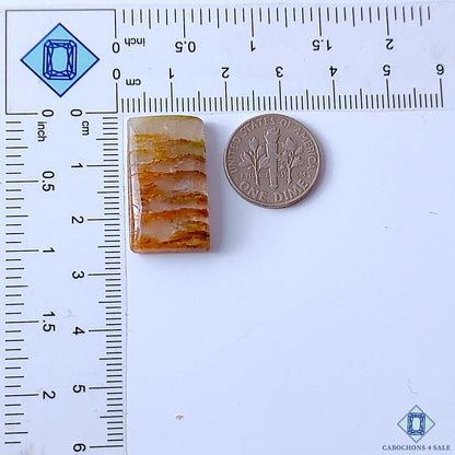 Cacoxenite Rutile Quartz
