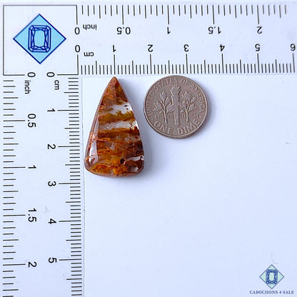 Cacoxenite Rutile Quartz