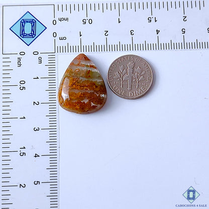 Cacoxenite Rutile Quartz