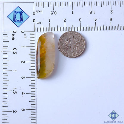 Cacoxenite Rutile Quartz