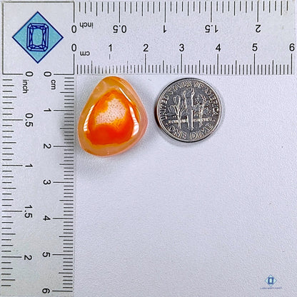 Carnelian Fancy Cabochons