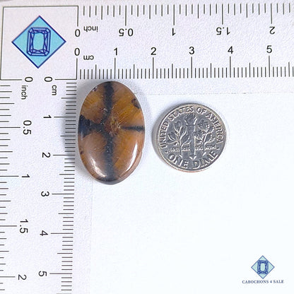 Cabujones ovalados de piedra preciosa de chiastolita natural de 26 x 17 x 5 mm, procedentes de Brasil, disponibles para la venta.