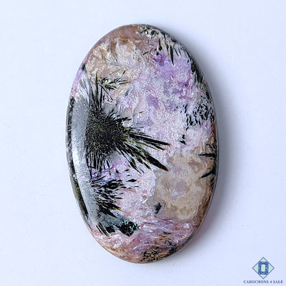 Charoite
