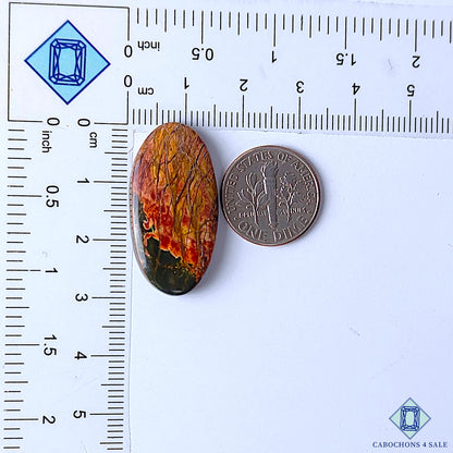 Cherry Creek Jasper
