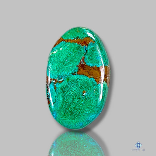 Chrysocolla