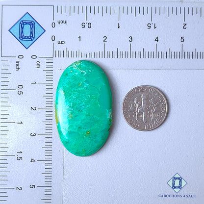 Natural Chrysoprase Gemstone  Oval Cabochons 37*22*5mm from Madagascar  available for sale