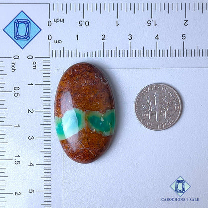 Natural Chrysoprase Gemstone  Oval Cabochons 38*23*8mm from Madagascar  available for sale