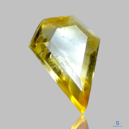 Citrine Shild All Cuts