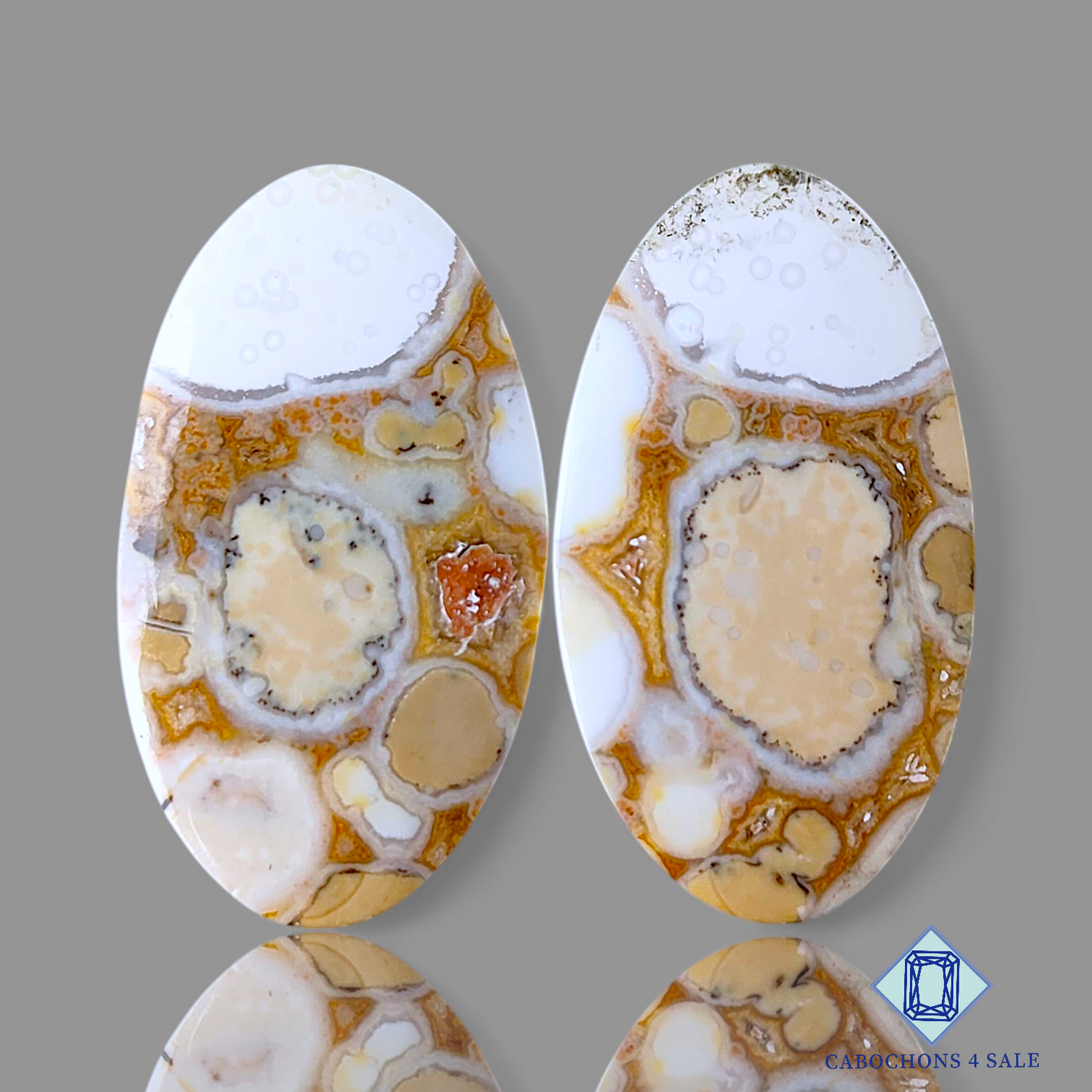 Cobra Jasper