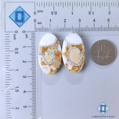 Pares ovalados de jaspe cobra