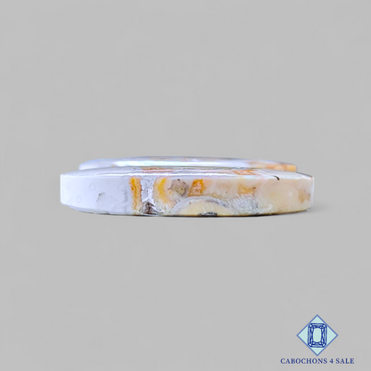 Pares ovalados de jaspe cobra