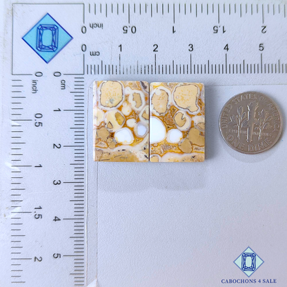 Cobra Jasper Fancy Pairs