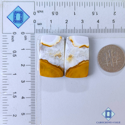 Cobra Jasper Fancy Pairs