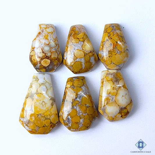 Cobra Jasper