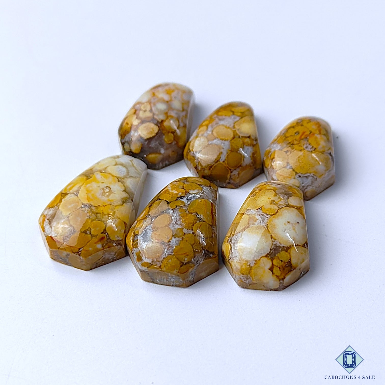Cobra Jasper