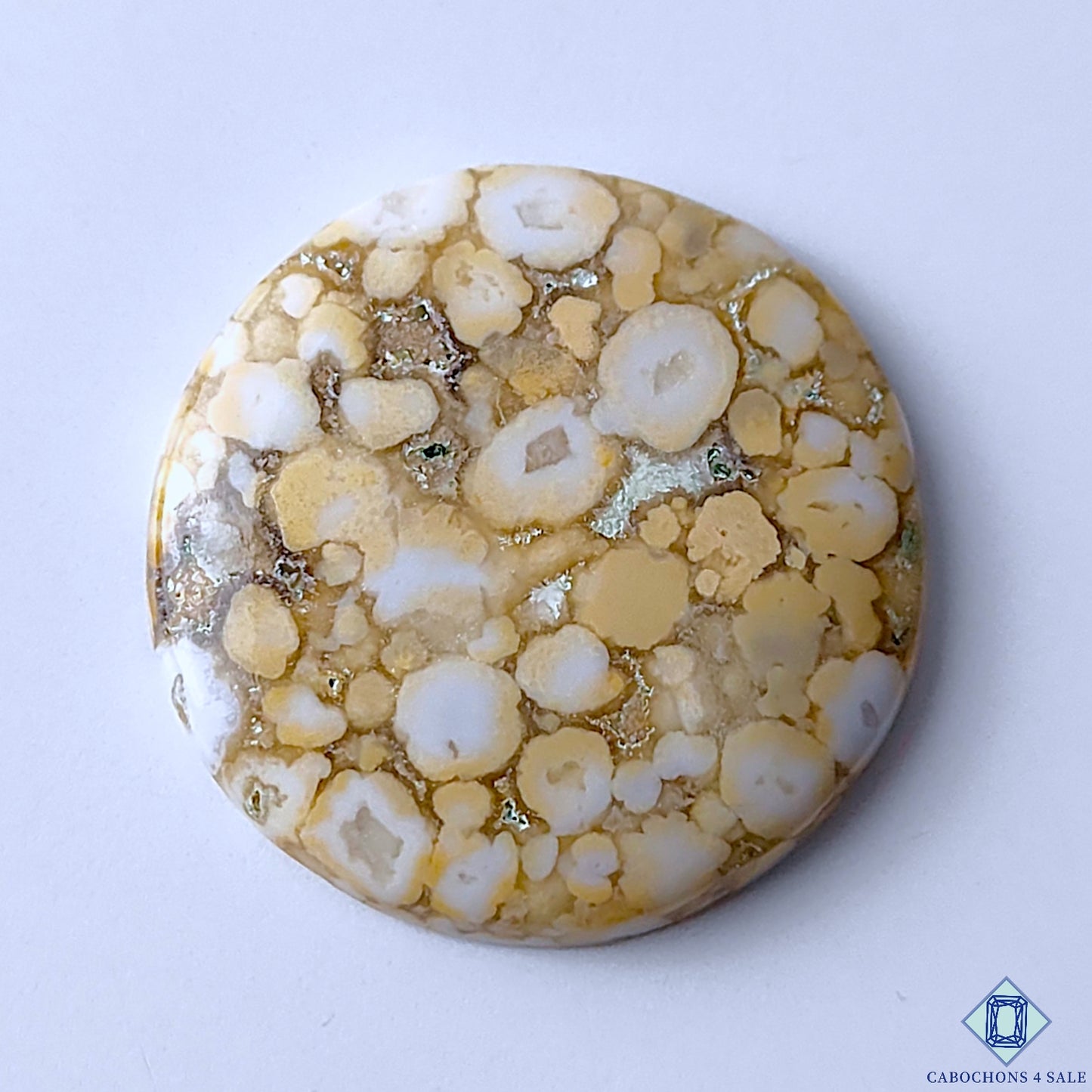 Cobra Jasper