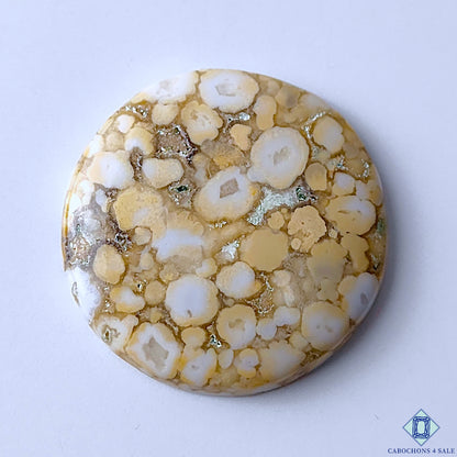 Cobra Jasper