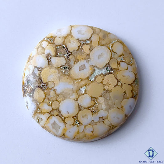 Cobra Jasper