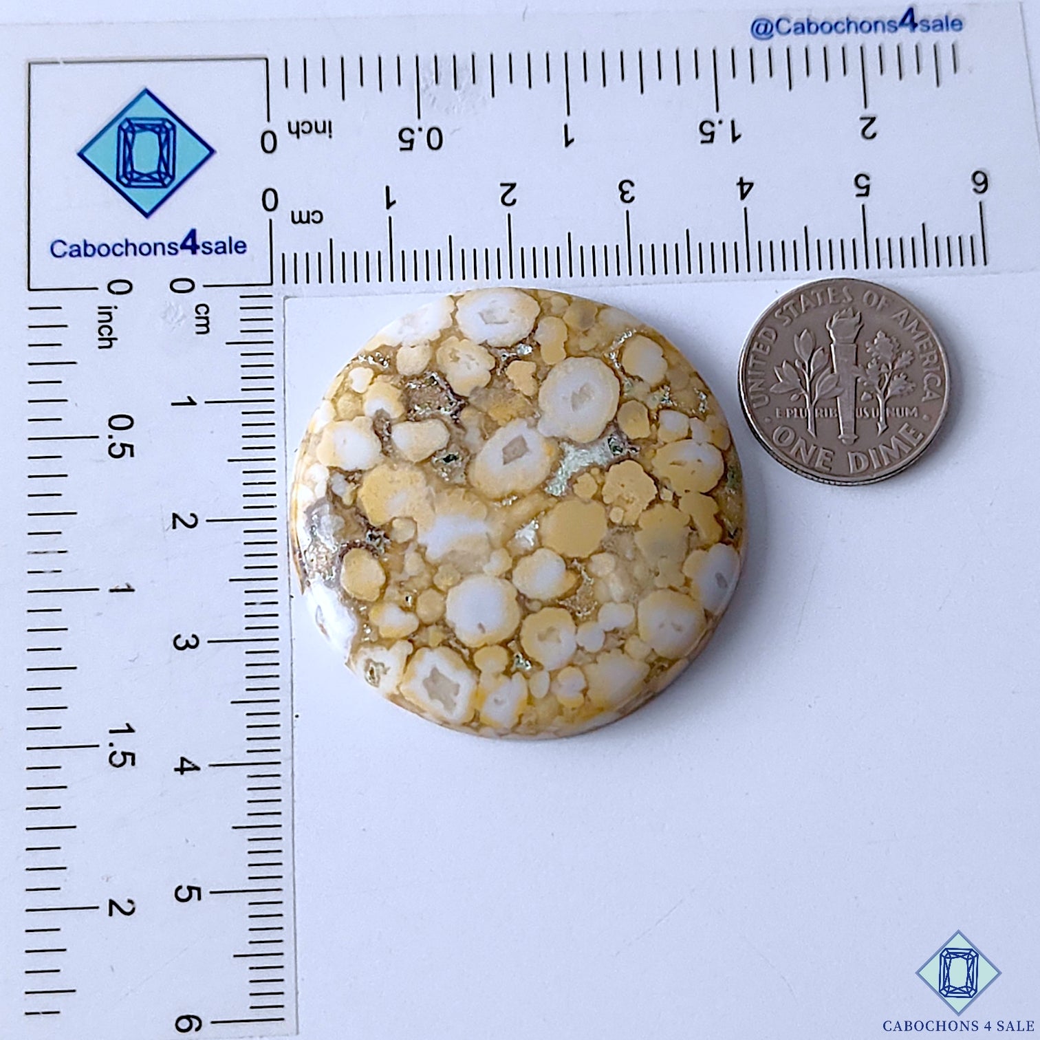 Cobra Jasper