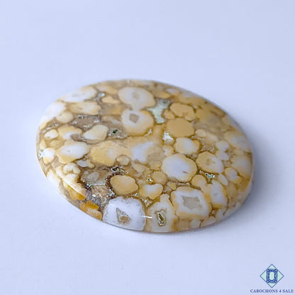 Cobra Jasper