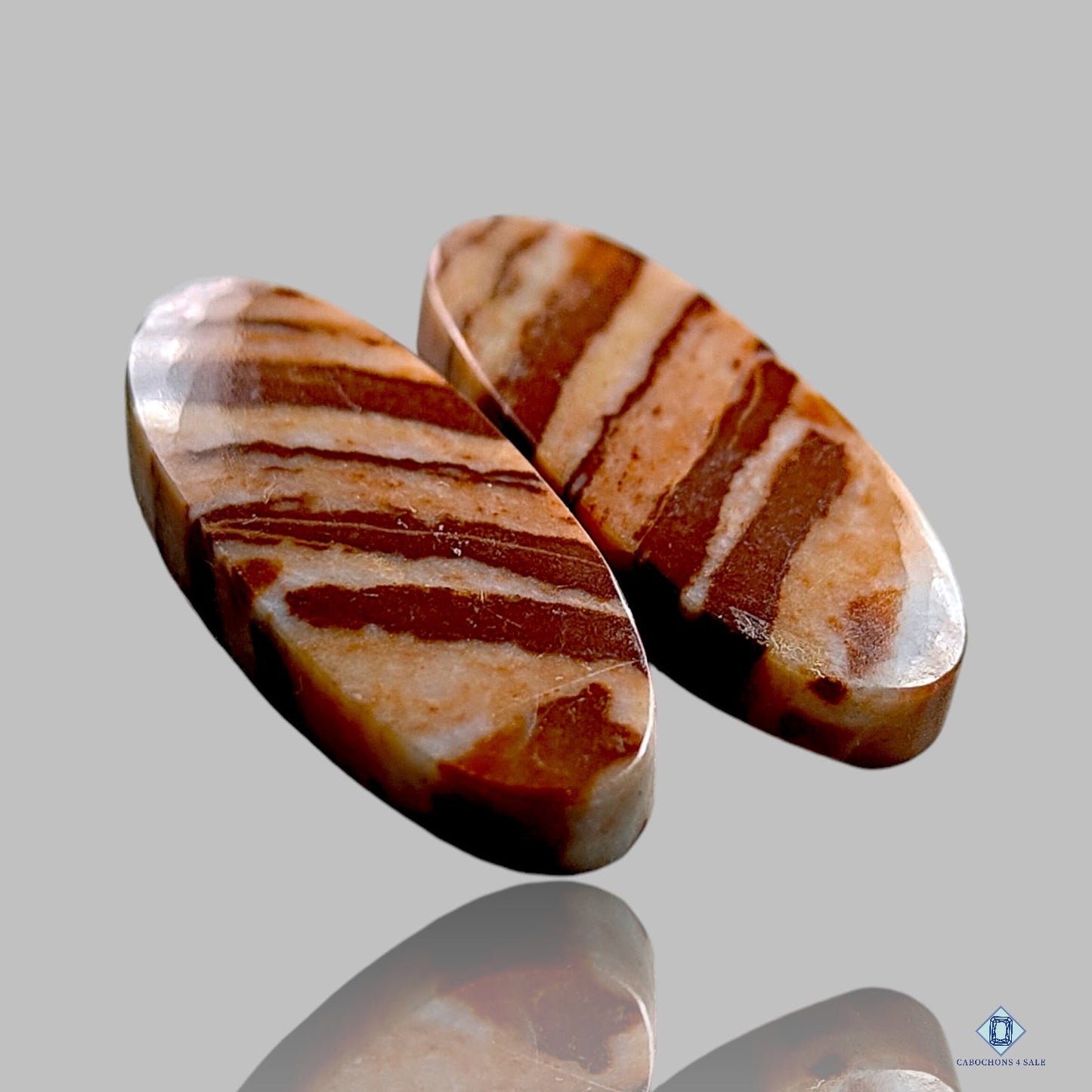 Coconut Jasper Oval Pairs