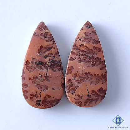 Coffee Bean Jasper