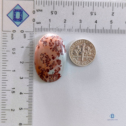 Coffee Bean Jasper Oval Cabochons